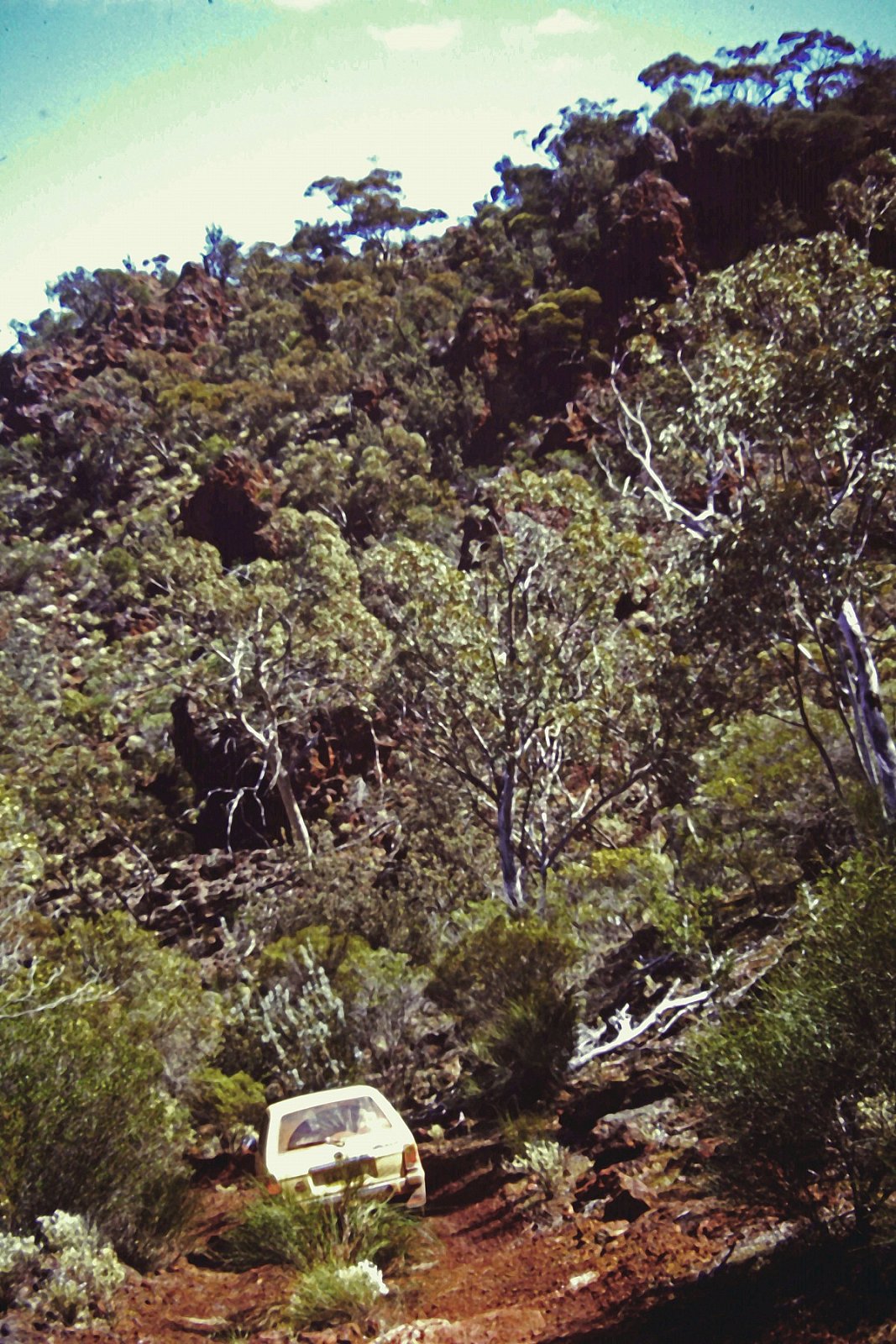 Descent from Bungalbin East.  Photo by Ken Newbey, September 1982 - Helena and Aurora Range (Bungalbin)