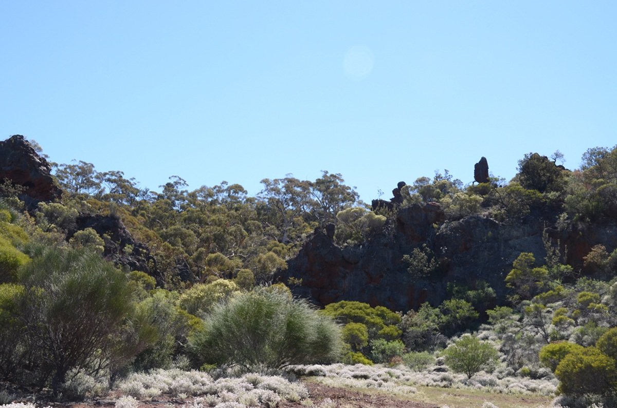 BIF outcropping on south side of the pass at Bungalbin East.  Photo by Amanda Keesing - Helena and Aurora Range (Bungalbin)