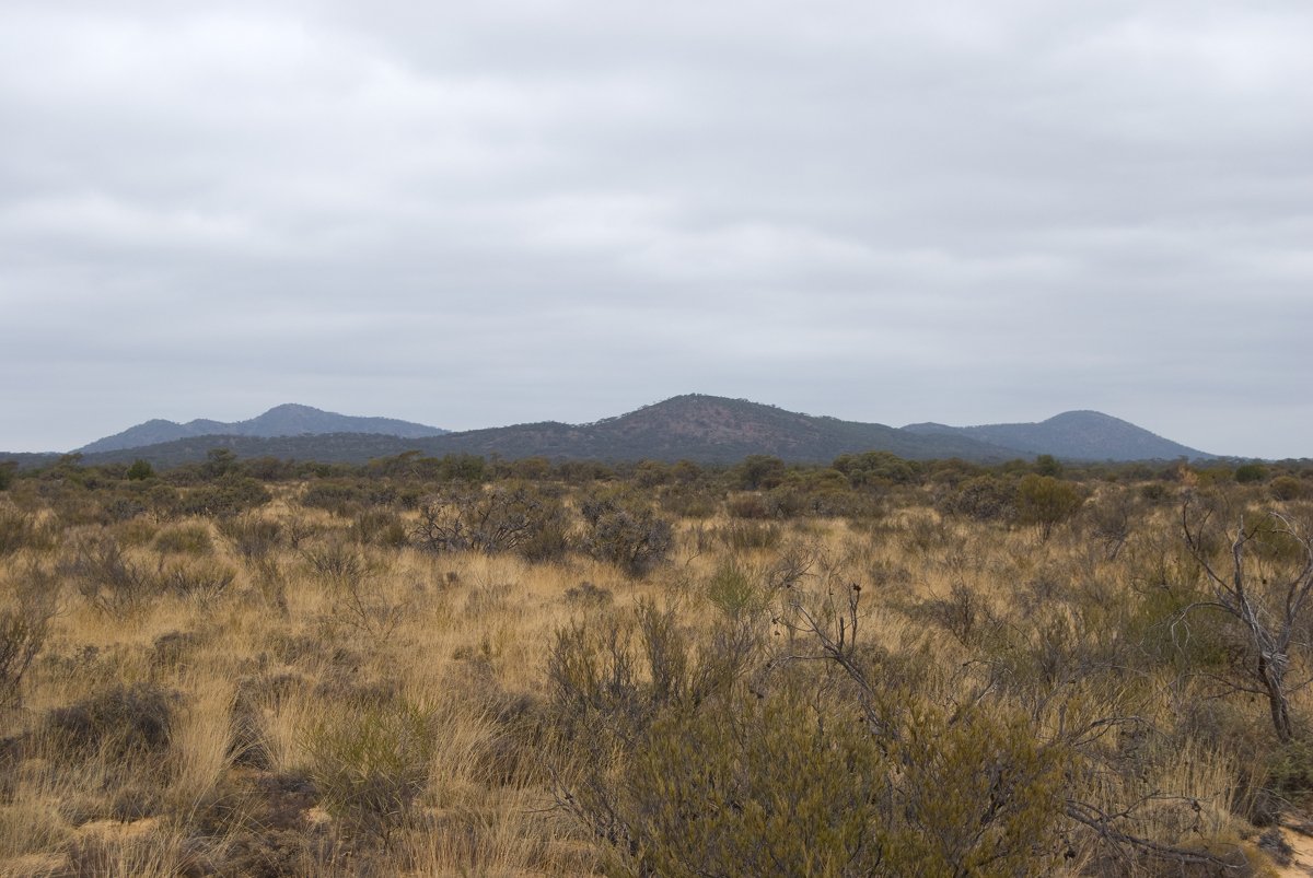 Profile of Helena and Aurora Range (Bungalbin) from the north, sandplain in the foreground.  Photo by Laura Corbett - Helena and Aurora Range (Bungalbin)