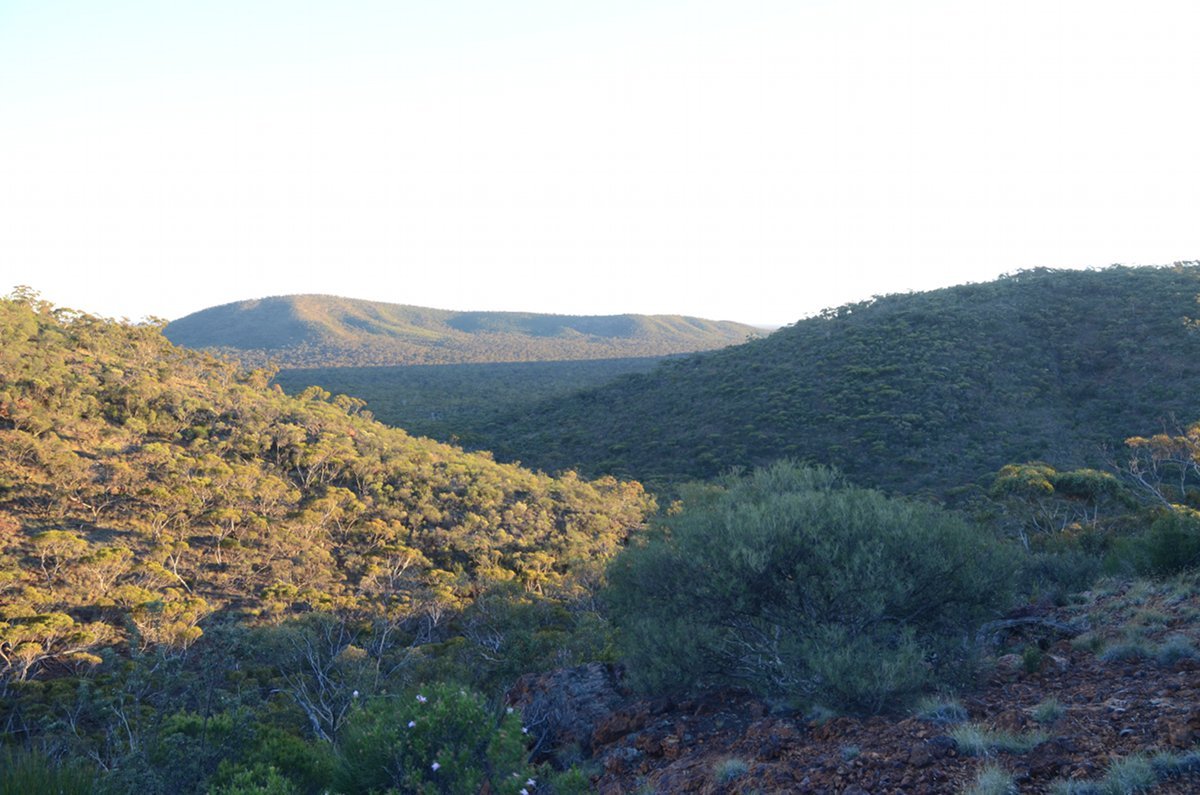 Hills of Helena and Aurora Range (Bungalbin).  Photo by Amanda Keesing - Helena and Aurora Range (Bungalbin)