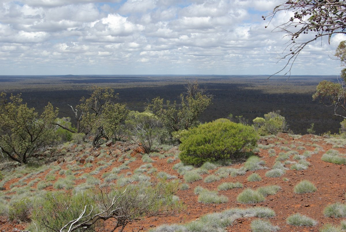 View from top of Range looking south. - Helena and Aurora Range (Bungalbin)