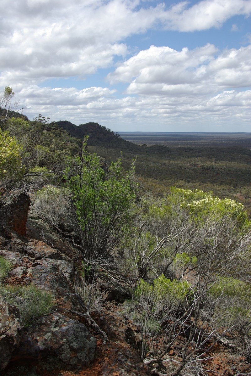 View from top of Range looking NE. - Helena and Aurora Range (Bungalbin)