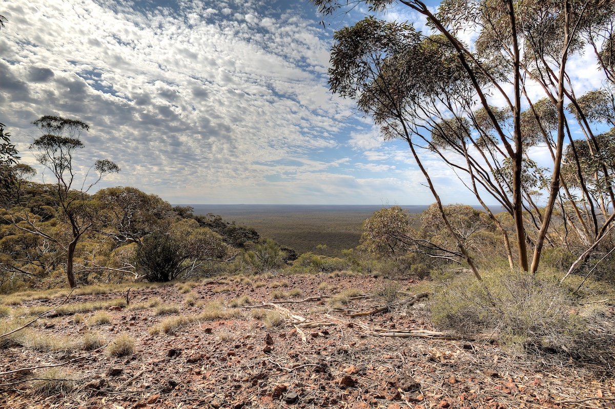View from Range, October 2015.  Photo by Rob Neave - Helena and Aurora Range (Bungalbin)