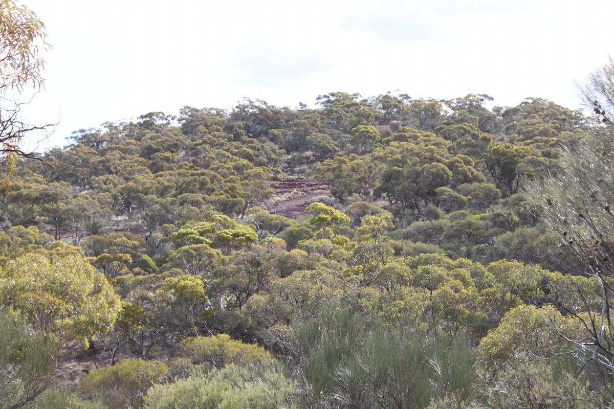 Track up to "J5" - Helena and Aurora Range (Bungalbin)