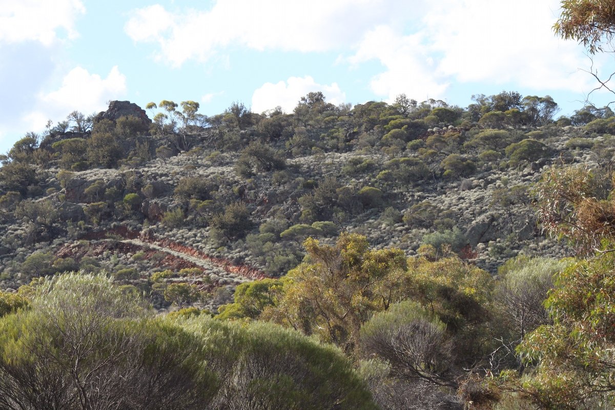 Track up to "J5" (south end of low hills of Helena and Aurora Range, Bungalbin that head out for 22m north west of the main range. - Helena and Aurora Range (Bungalbin)
