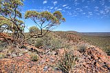 Long view down length of Range, October 2015.  Photo by Rob Neave - Helena and Aurora Range (Bungalbin)