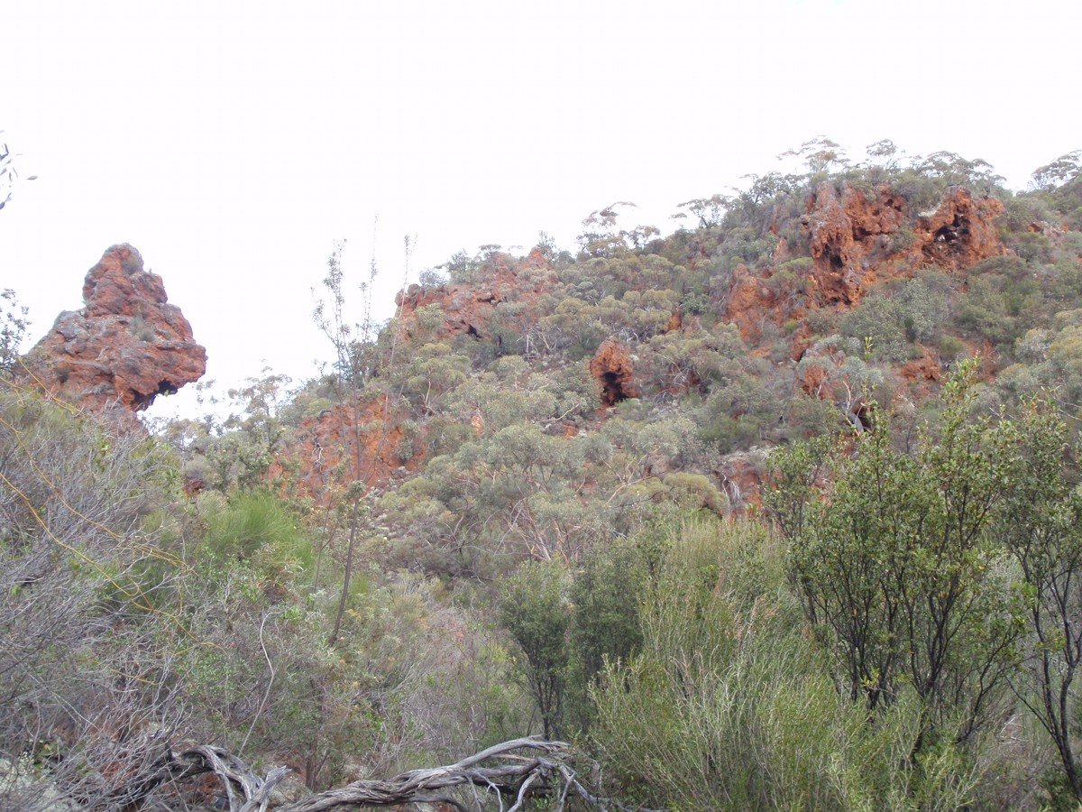 BIF (Banded Ironstone Formation) outcrops on Helena and Aurora Range (Bungalbin). - Helena and Aurora Range (Bungalbin)