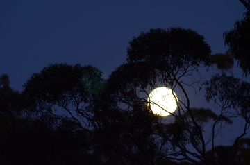 050-785_moon_360w.JPG