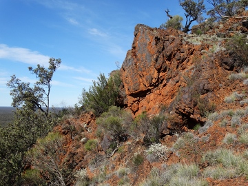 DSC00850_BIFcrest_GregW_360w.JPG
