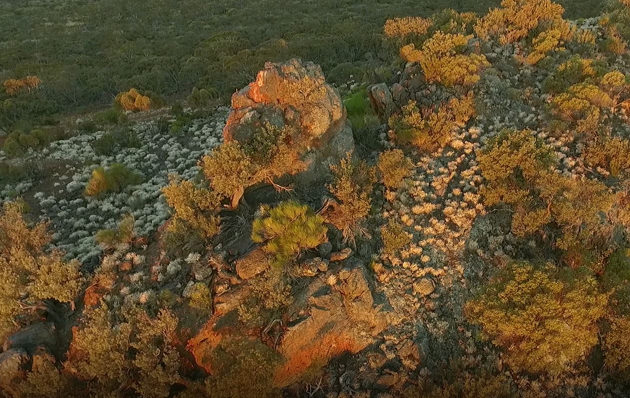 Drone3