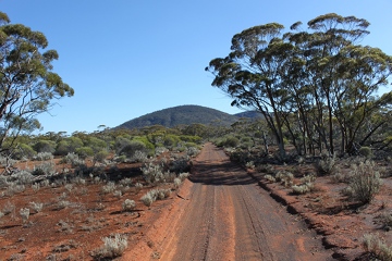 IMG_0740_trackBungalbinHill_360w.jpg