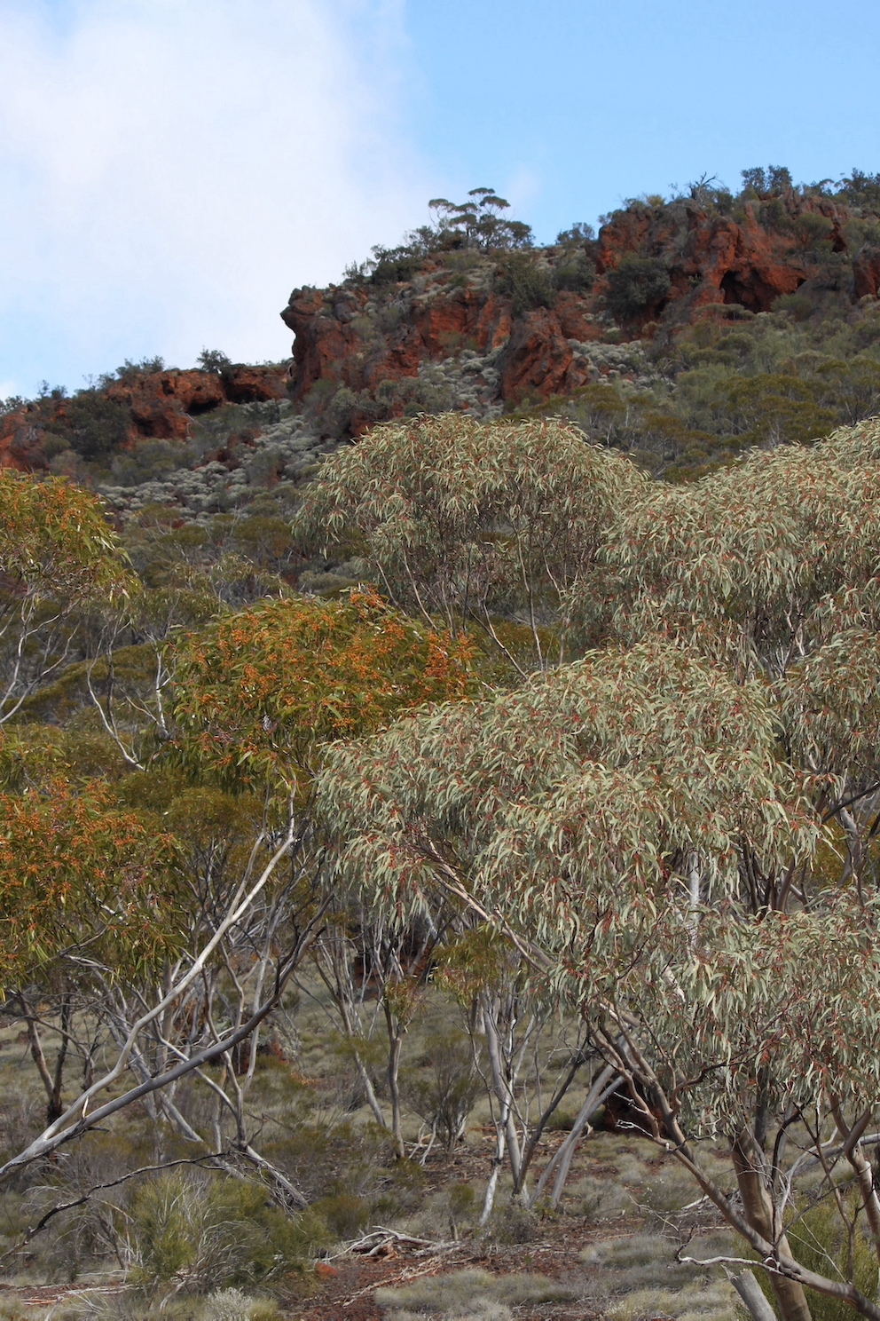 IMG 1423 MalleeRockProfile portrait 400w